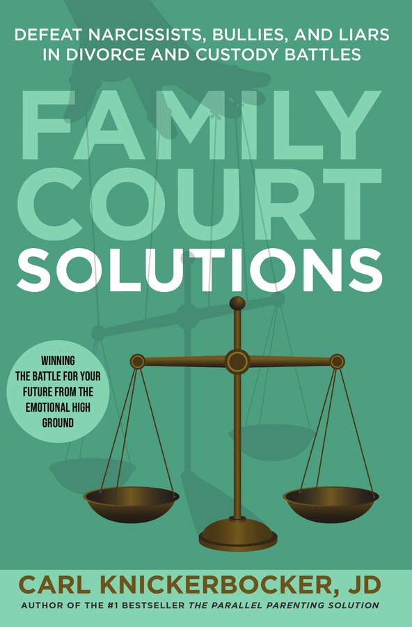 Family Court Solutions book cover
